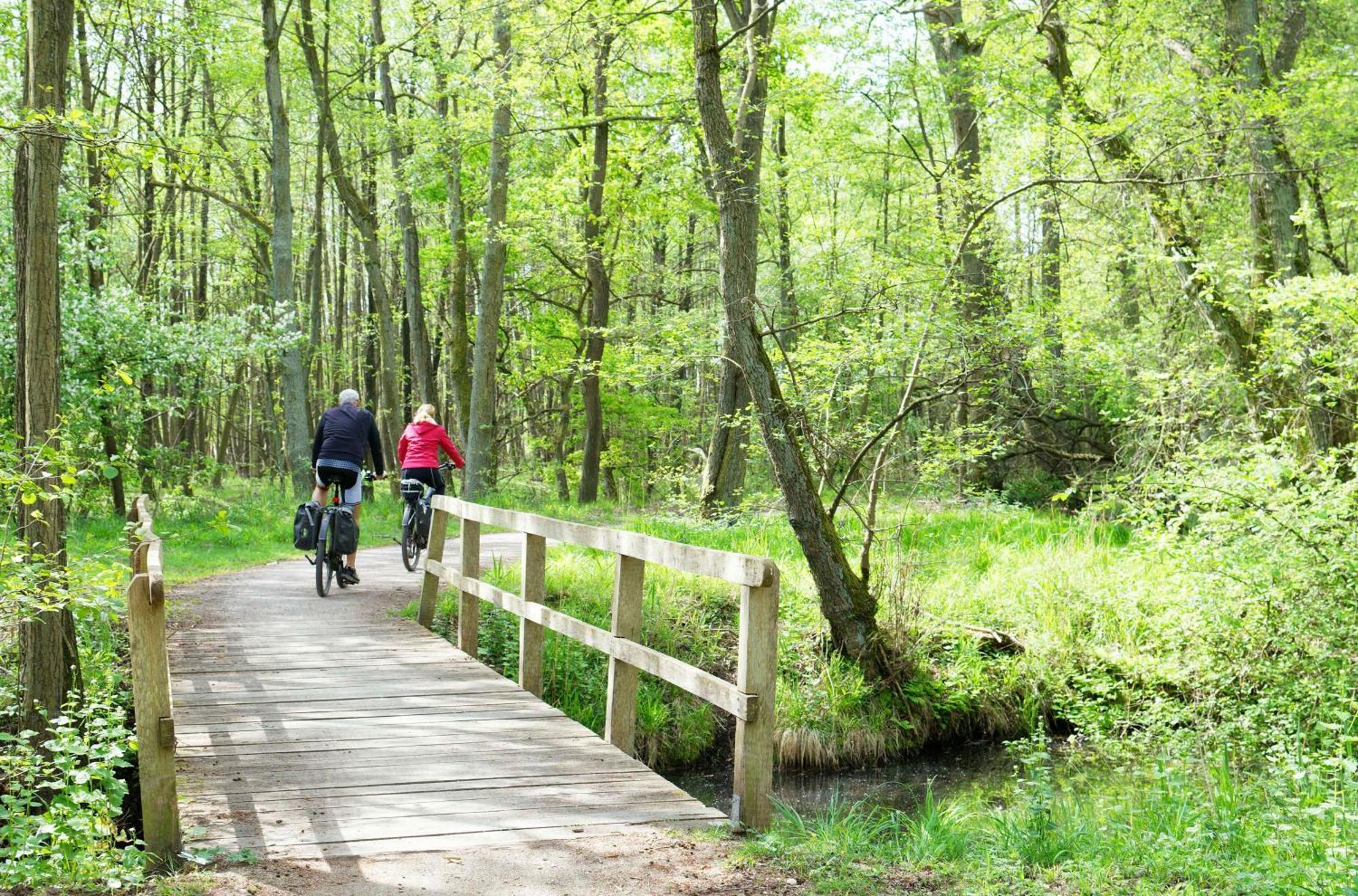 Grosse Sommerliebe - Nah Am Volksbad Und Radwanderweg Waren (Mueritz)